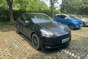 Model S 特斯拉 Performance 高性能版