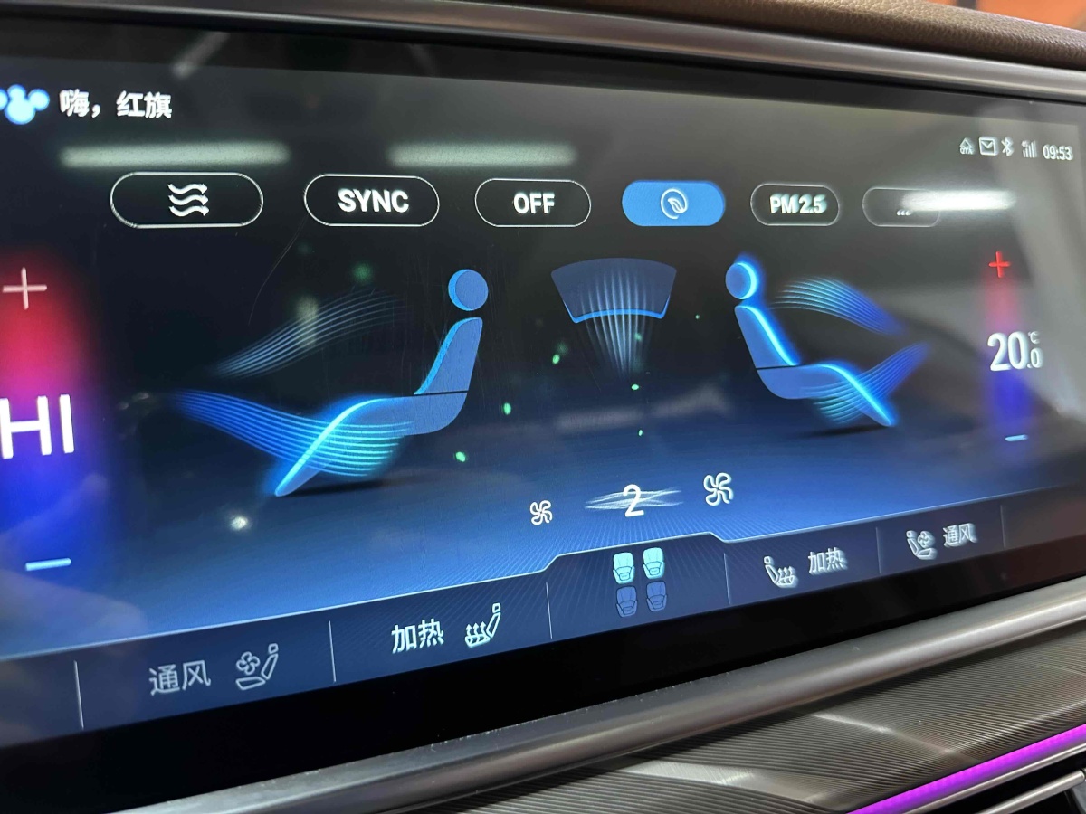 紅旗 紅旗H9  2020款 2.0T 智聯(lián)旗享版圖片