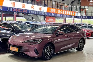 海豹 比亚迪 DM-i 1.5L 121km 尊贵型