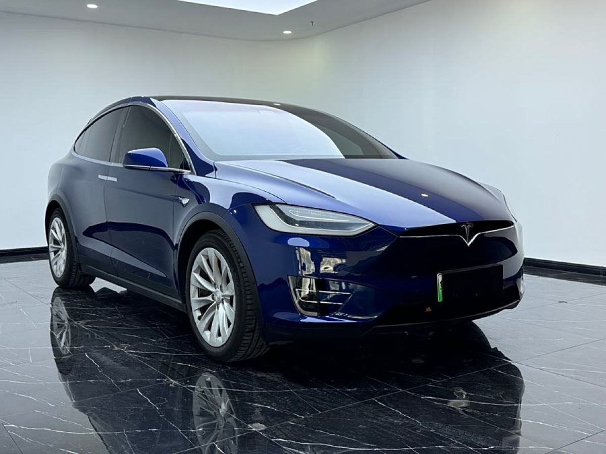 2018年4月特斯拉 Model X  2017款 Model X 100D 長續(xù)航版