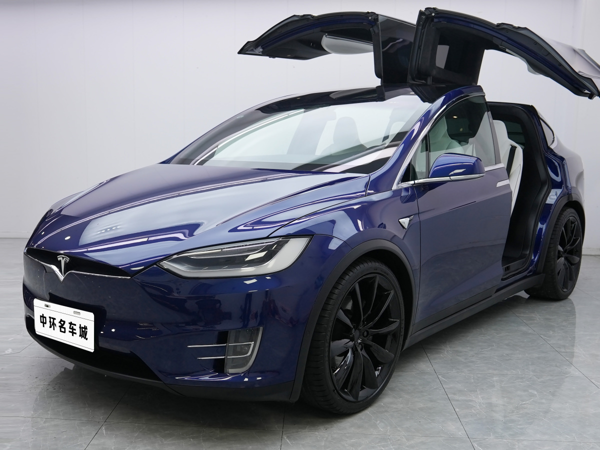 特斯拉 Model X  2016款 Model X 90D圖片