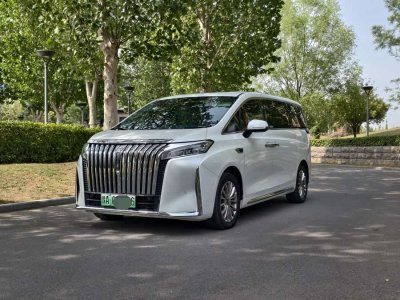 2025年2月 車馳 車馳V-Class 2.0T 蘭馳牌巴菲特旗艦版圖片