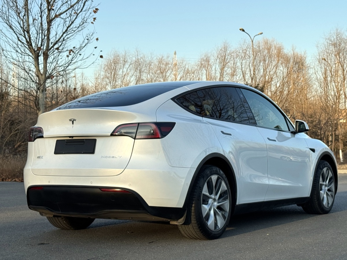 特斯拉 Model Y  2022款 后驅(qū)版圖片