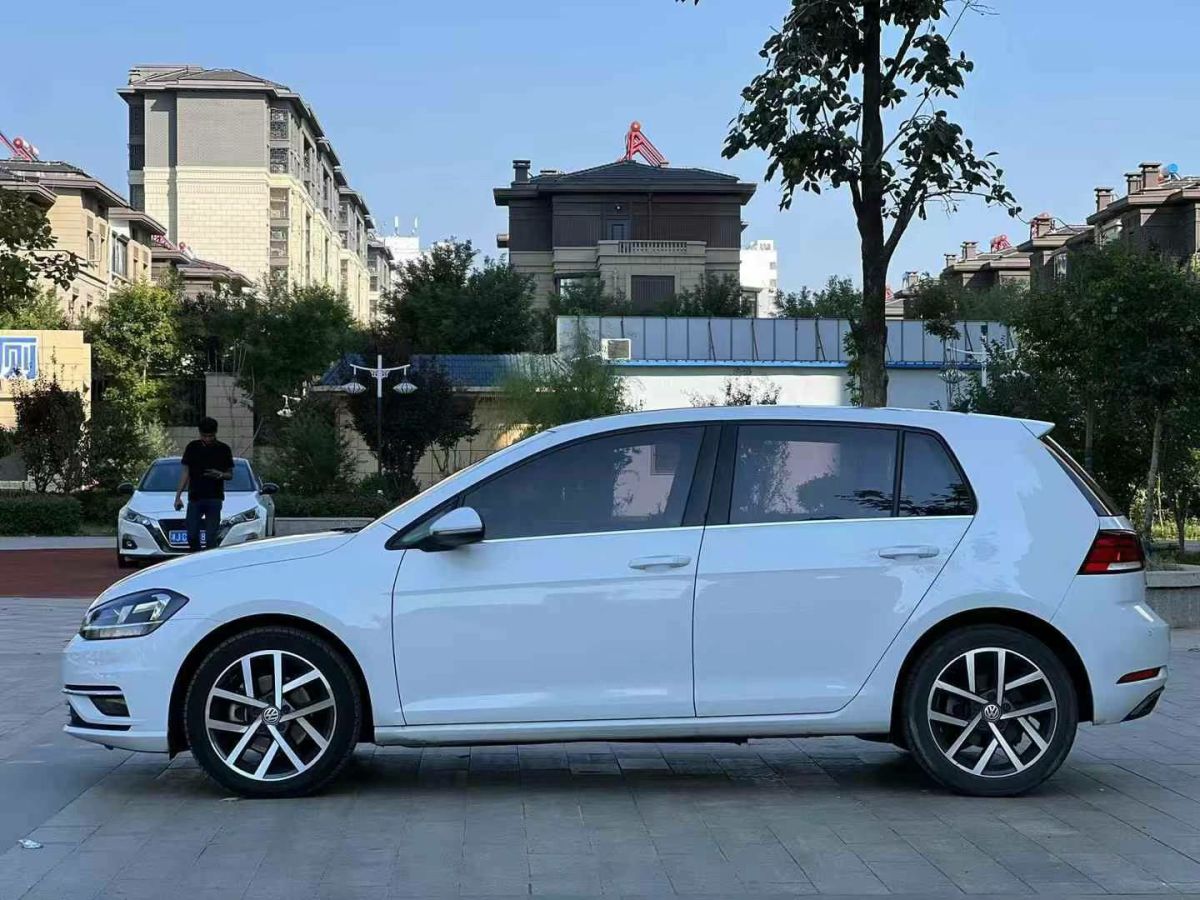 2020年1月大眾 高爾夫  2020款 2.0TSI GTI