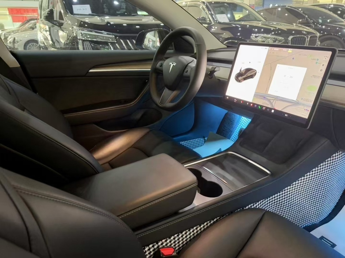 特斯拉 Model Y  2021款 Performance高性能全輪驅(qū)動(dòng)版圖片