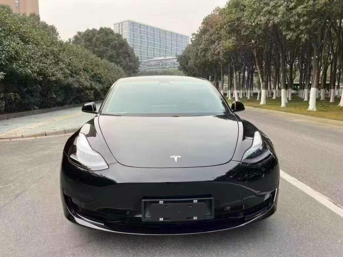 特斯拉 Model Y  2021款 標(biāo)準(zhǔn)續(xù)航后驅(qū)版圖片