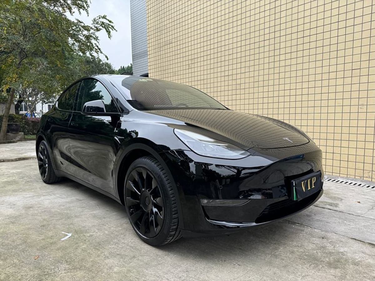 特斯拉 Model Y  2021款 長續(xù)航全輪驅動版 3D7圖片