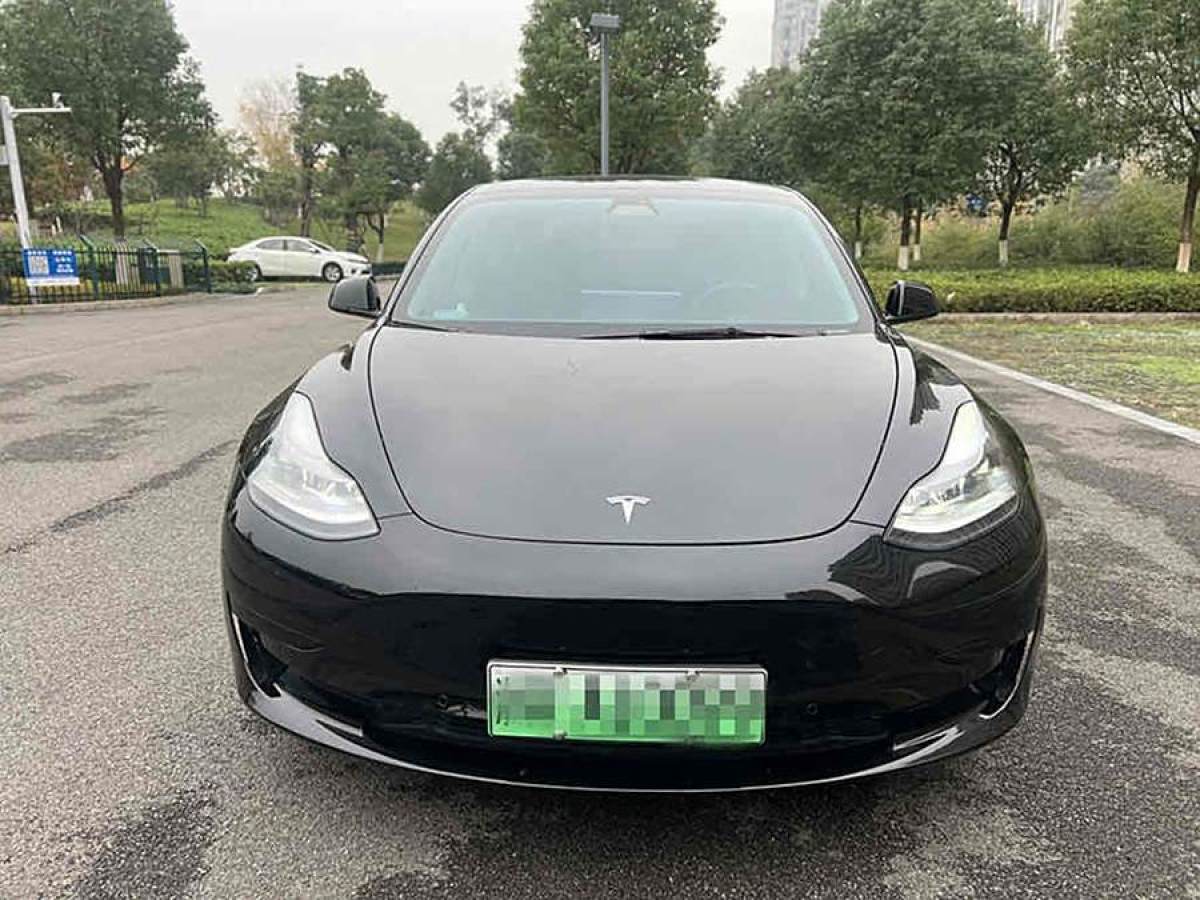 特斯拉 Model 3  2021款 標(biāo)準(zhǔn)續(xù)航后驅(qū)升級(jí)版 3D6圖片