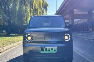 熊猫mini 吉利 200km 耐力熊