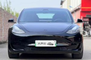 Model 3 特斯拉 标准续航后驱升级版