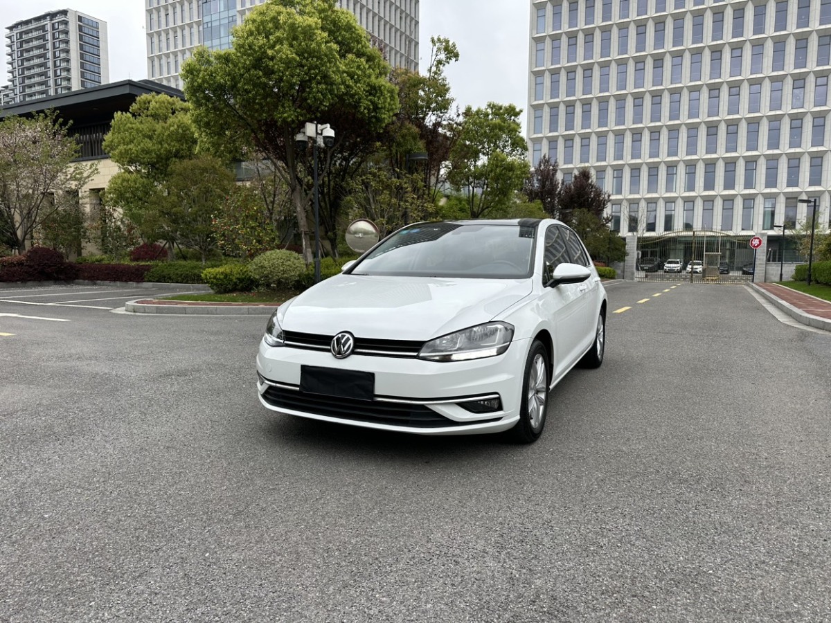 2019年2月大众 高尔夫  2019款 280TSI DSG舒适型