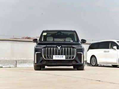 2024年7月 岚图 梦想家 PHEV 超长续航尊贵版图片