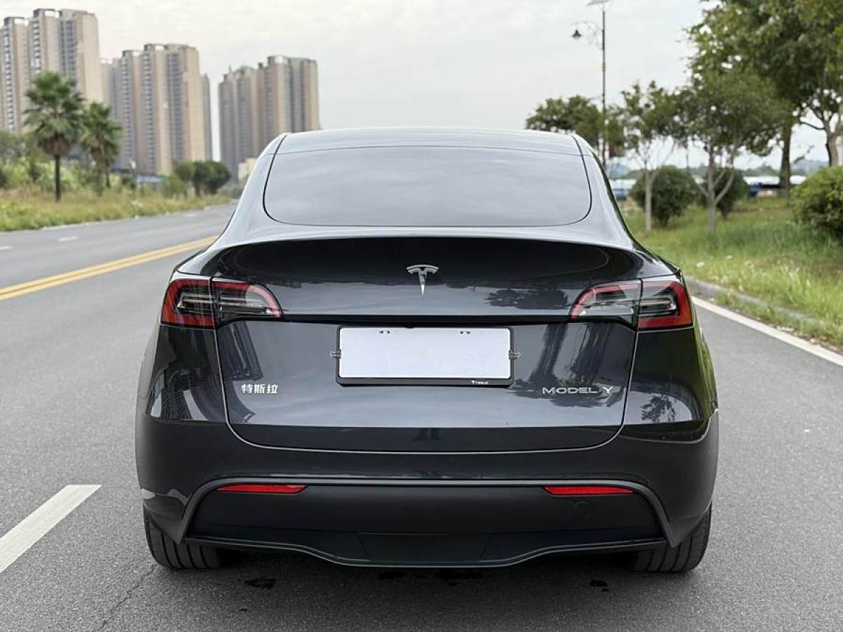 特斯拉 Model 3  2020款 改款 長(zhǎng)續(xù)航后輪驅(qū)動(dòng)版圖片