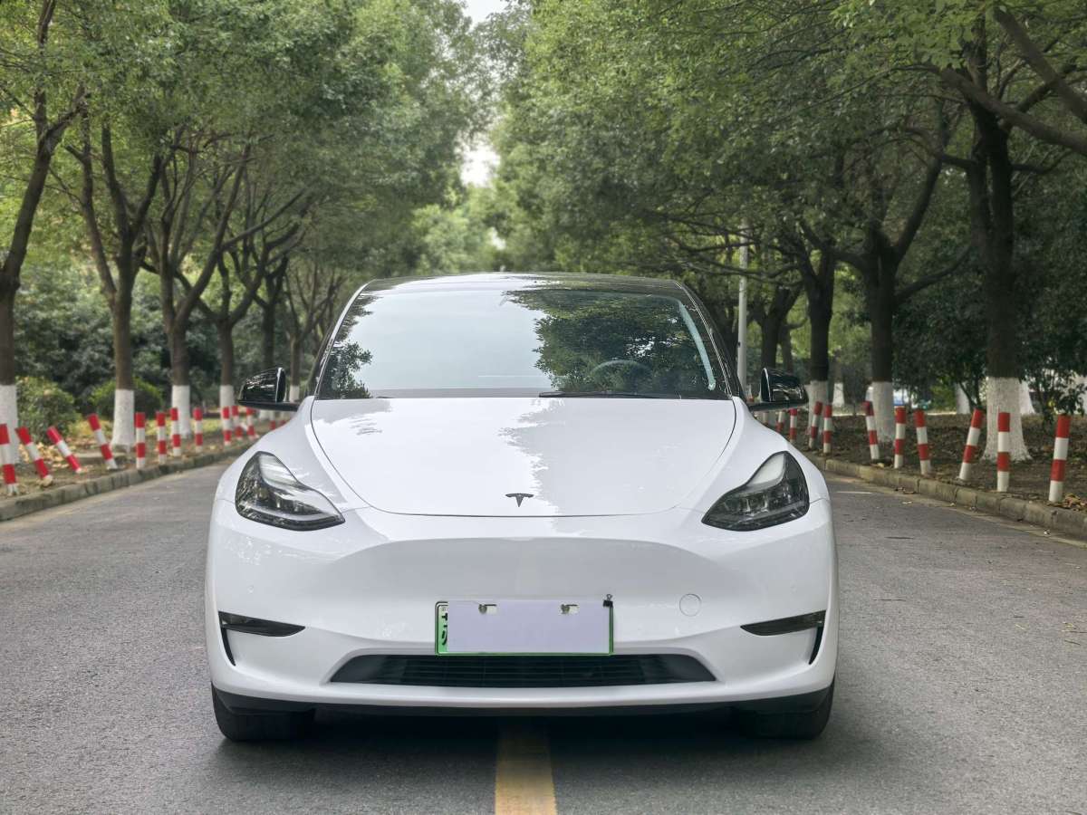 特斯拉 Model Y  2021款 標(biāo)準(zhǔn)續(xù)航后驅(qū)版圖片