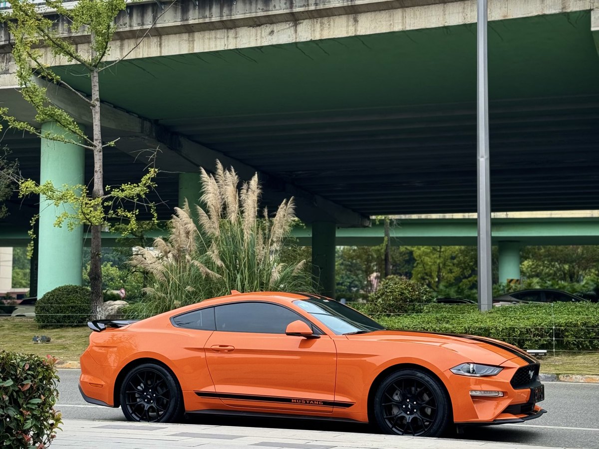 福特 Mustang  2021款 2.3L EcoBoost圖片