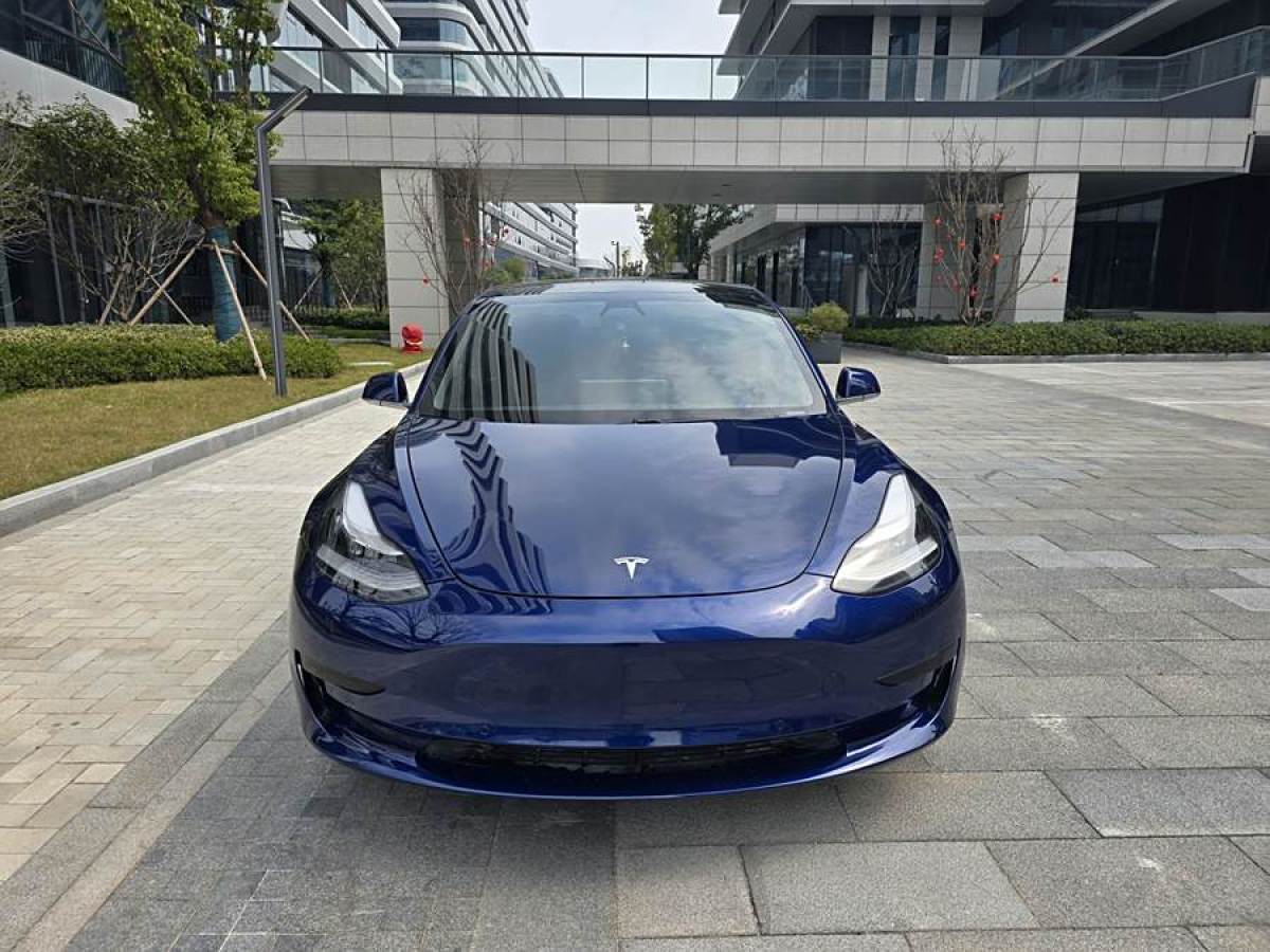 特斯拉 Model 3  2020款 改款 標(biāo)準(zhǔn)續(xù)航后驅(qū)升級版圖片