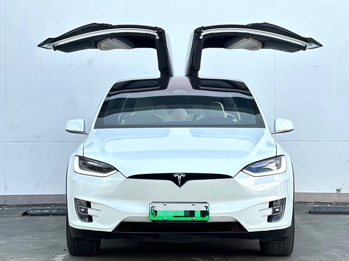 特斯拉 Model X  2017款 Model X 100D 長續(xù)航版圖片