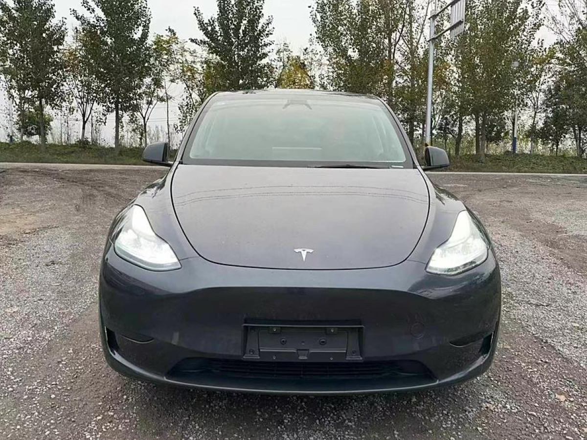 特斯拉 Model 3  2020款 改款 長續(xù)航后輪驅(qū)動版圖片