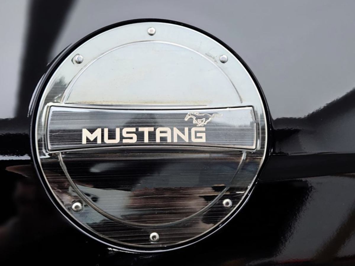 福特 Mustang  2015款 2.3T 性能版圖片