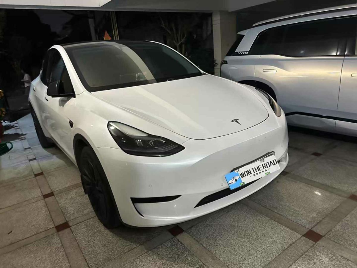 2022年1月特斯拉 Model 3  2022款 Performance高性能全輪驅(qū)動版