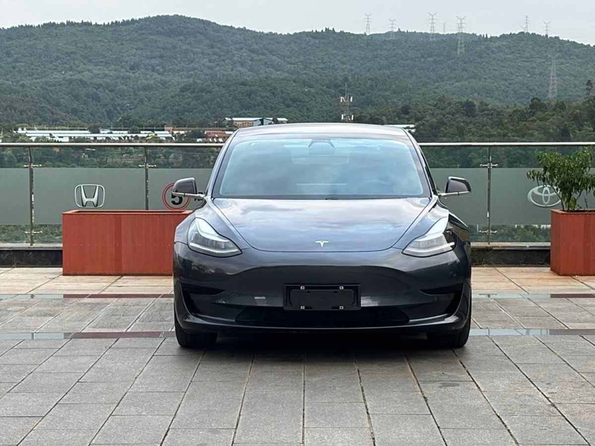 特斯拉 Model 3  2020款 改款 標(biāo)準(zhǔn)續(xù)航后驅(qū)升級版圖片