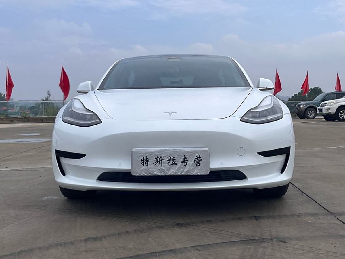 2020年10月特斯拉 Model Y  2020款 改款 標(biāo)準(zhǔn)續(xù)航后驅(qū)升級版