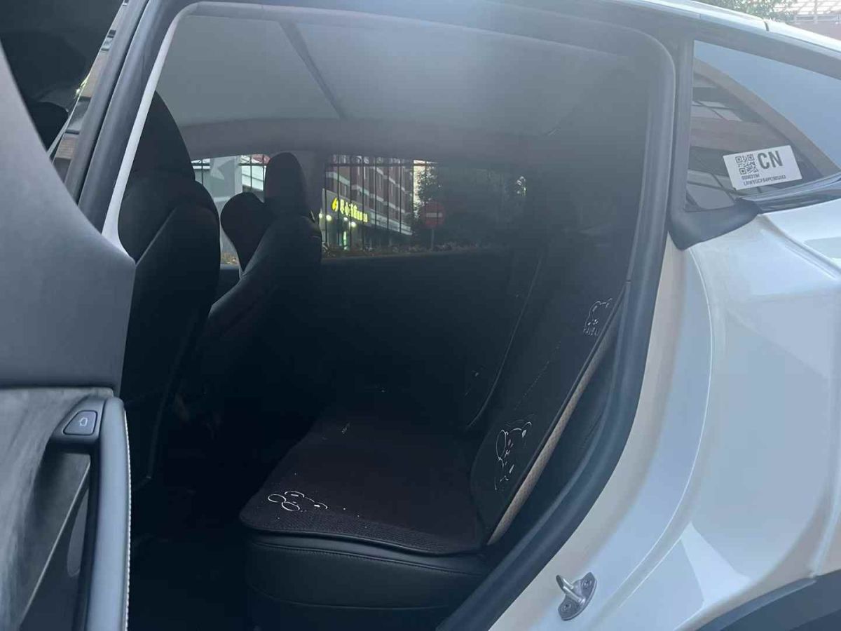 特斯拉 Model S  2023款 三電機(jī)全輪驅(qū)動(dòng) Plaid版圖片