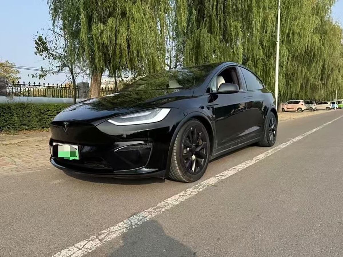 特斯拉 Model X  2023款 雙電機(jī)全輪驅(qū)動版圖片