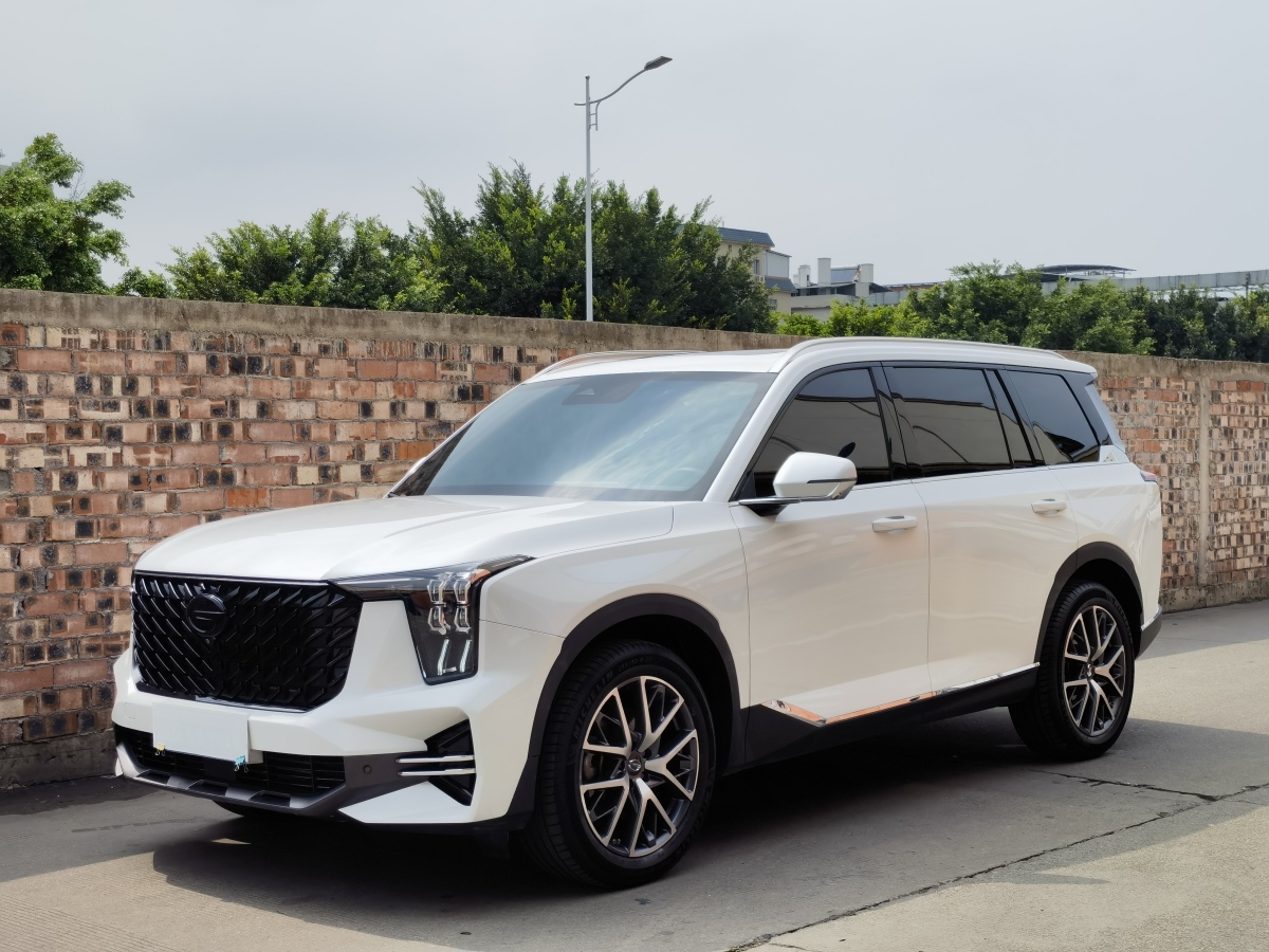 2022年1月廣汽傳祺 GS8  2022款 領(lǐng)航系列 2.0TGDI 兩驅(qū)豪華智聯(lián)版（七座）