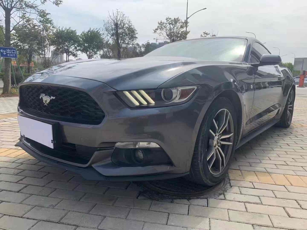 福特 Mustang  2016款 2.3T 性能版圖片