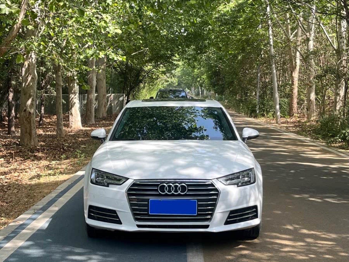 奧迪 奧迪A4L  2018款 30周年年型 40 TFSI 進(jìn)取型圖片