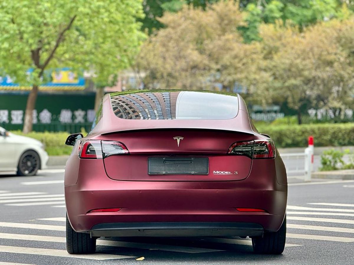 特斯拉 Model 3  2022款 Performance高性能全輪驅(qū)動版圖片