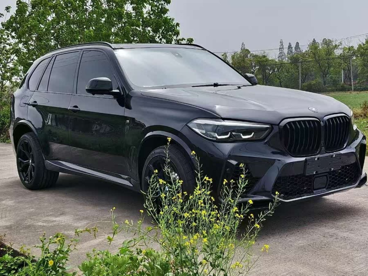 寶馬 寶馬X5  2008款 xDrive30i豪華型圖片