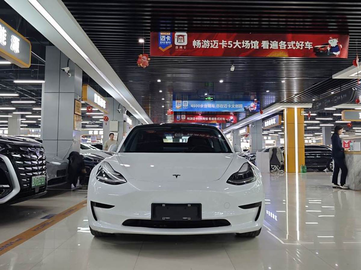 特斯拉 Model 3  2020款 改款 標(biāo)準(zhǔn)續(xù)航后驅(qū)升級(jí)版圖片