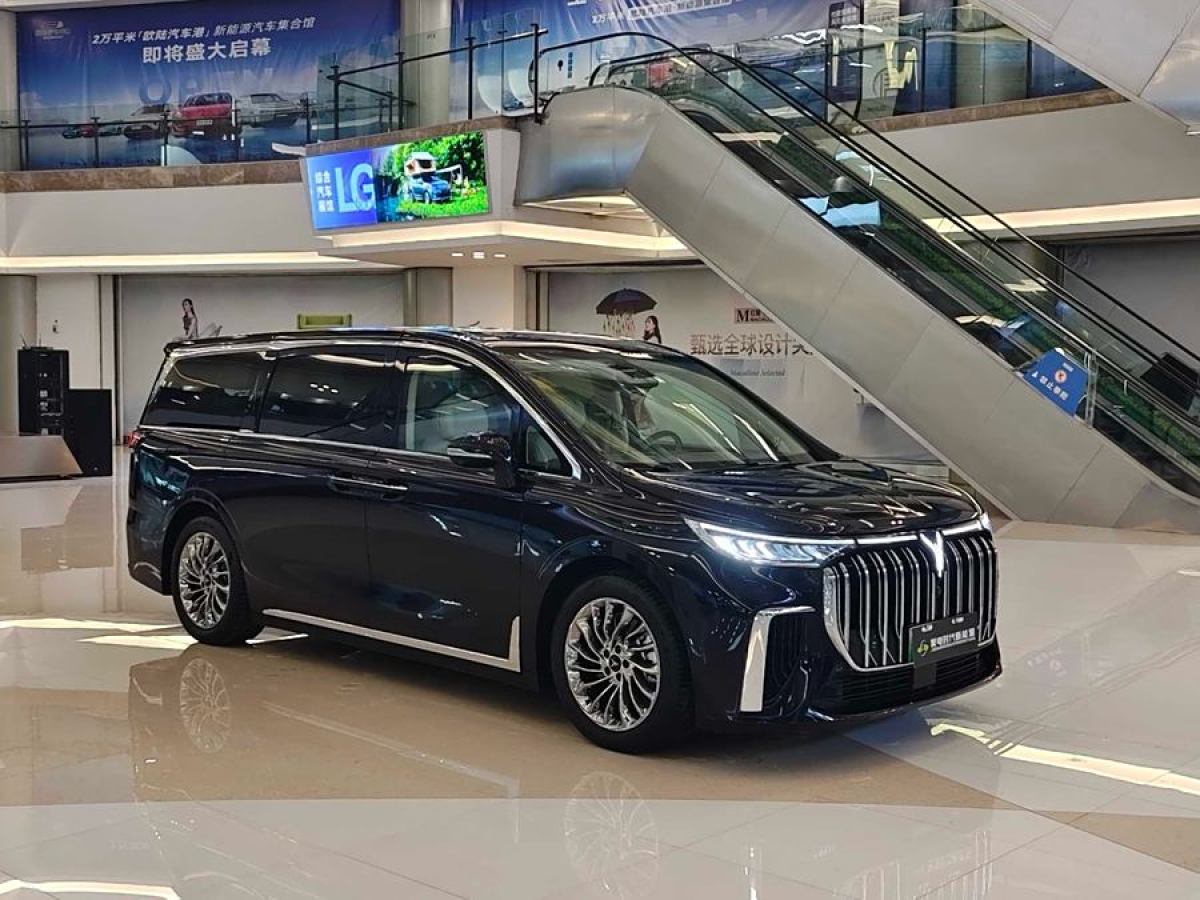 嵐圖 夢想家  2024款 PHEV 超長續(xù)航旗艦版圖片