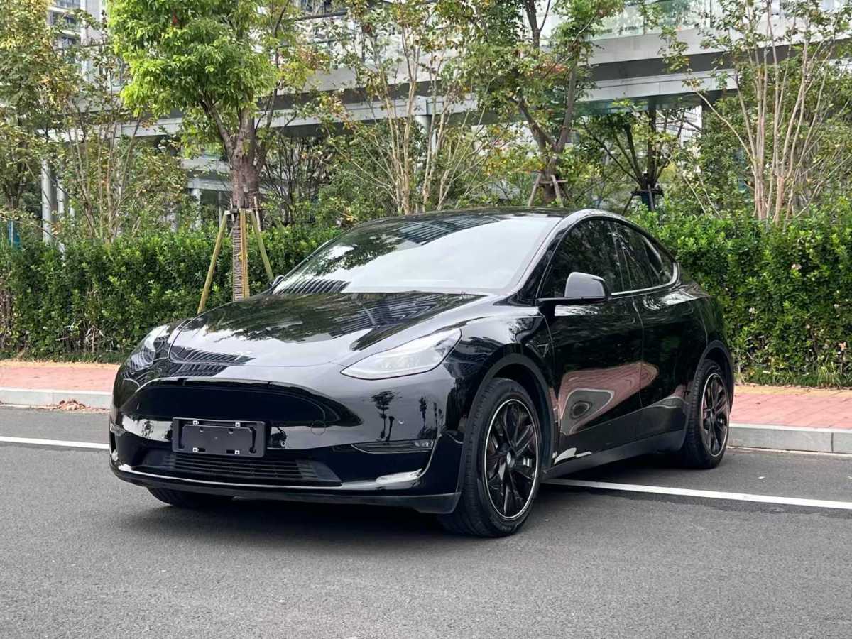 特斯拉 Model Y  2022款 后輪驅(qū)動(dòng)版圖片