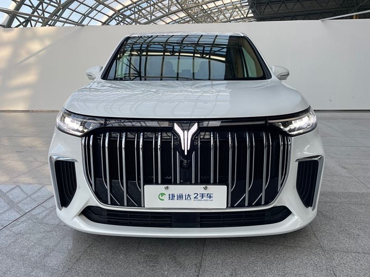 嵐圖 夢(mèng)想家  2024款 PHEV 超長(zhǎng)續(xù)航尊貴版圖片