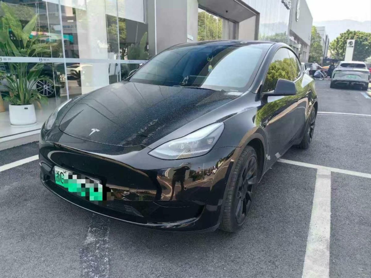 特斯拉 Model Y  2022款 Performance高性能全輪驅(qū)動(dòng)版圖片