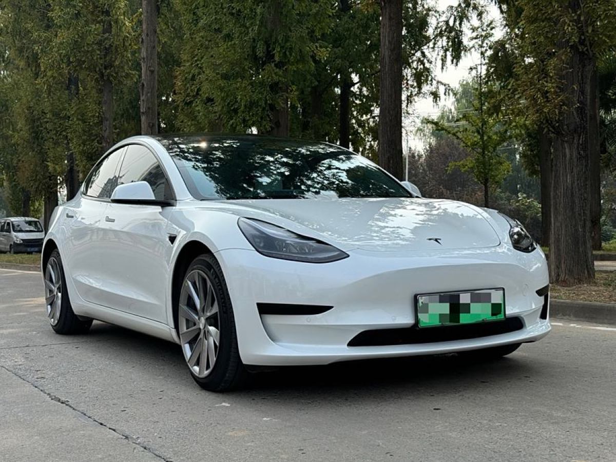 2023年6月特斯拉 Model 3  2022款 改款 后輪驅(qū)動(dòng)版