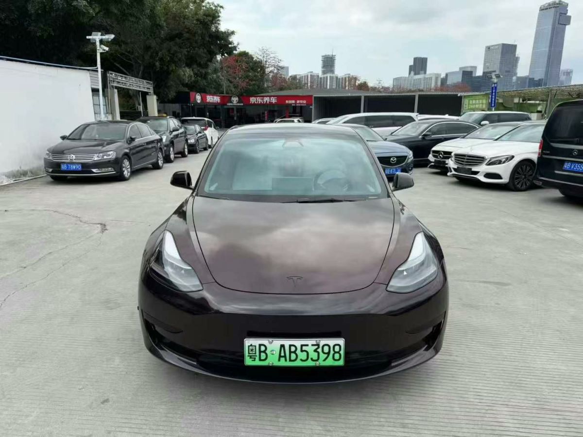 2021年6月特斯拉 Model Y  2021款 標(biāo)準(zhǔn)續(xù)航后驅(qū)版