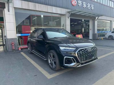 2021年1月 奧迪 Sport 奧迪RS Q8 RS Q8 4.0T圖片