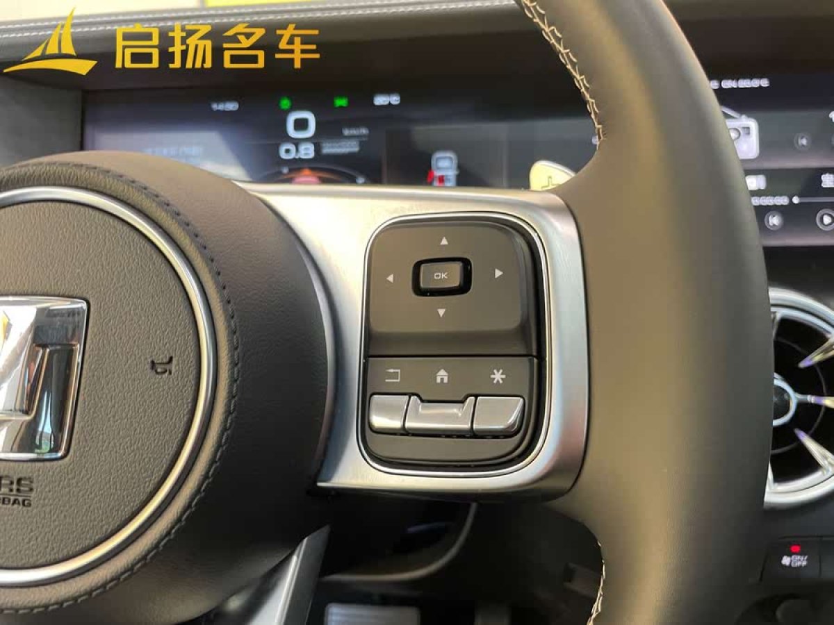坦克 坦克300  2024款 2.0T 征服者圖片