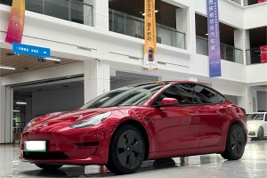 Model 3 特斯拉 标准续航后驱升级版