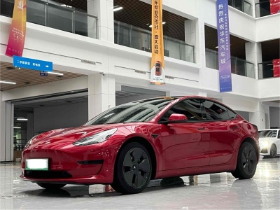 2021年6月 特斯拉 Model 3 標(biāo)準(zhǔn)續(xù)航后驅(qū)升級版圖片