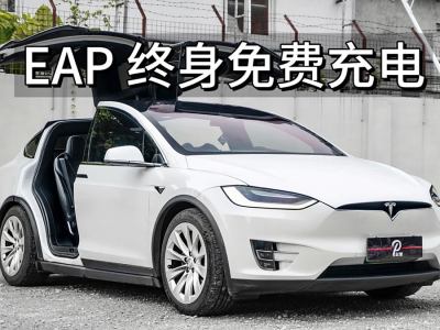 2018年8月 特斯拉 Model X Model X 100D 長續(xù)航版圖片