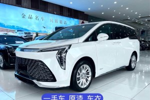 世紀 別克 2.0T 七座蘊世版