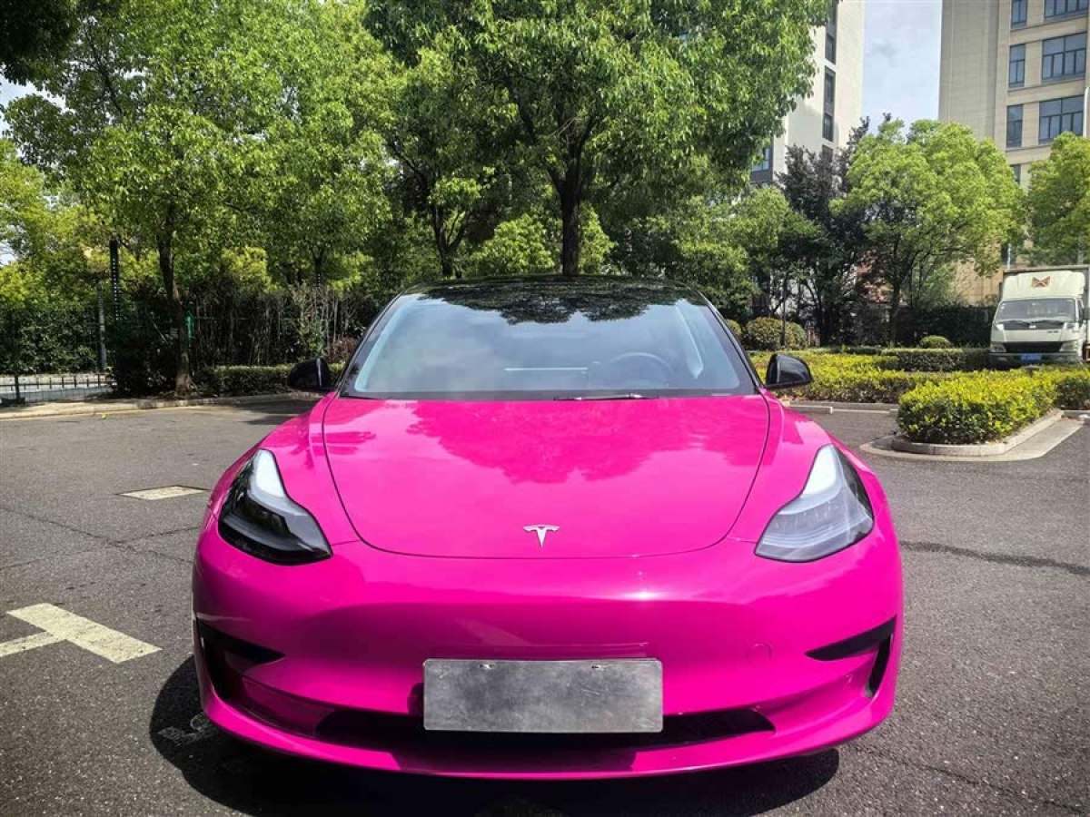 特斯拉 Model 3  2022款 后輪驅(qū)動(dòng)版圖片