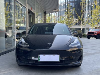 2020年3月 特斯拉 Model 3 標(biāo)準(zhǔn)續(xù)航后驅(qū)升級版圖片