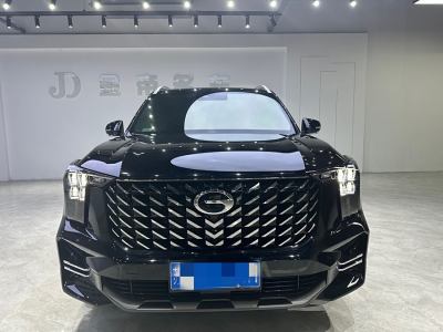 2024年6月 廣汽傳祺 GS8 領(lǐng)航系列 2.0TGDI 兩驅(qū)豪華智聯(lián)版圖片