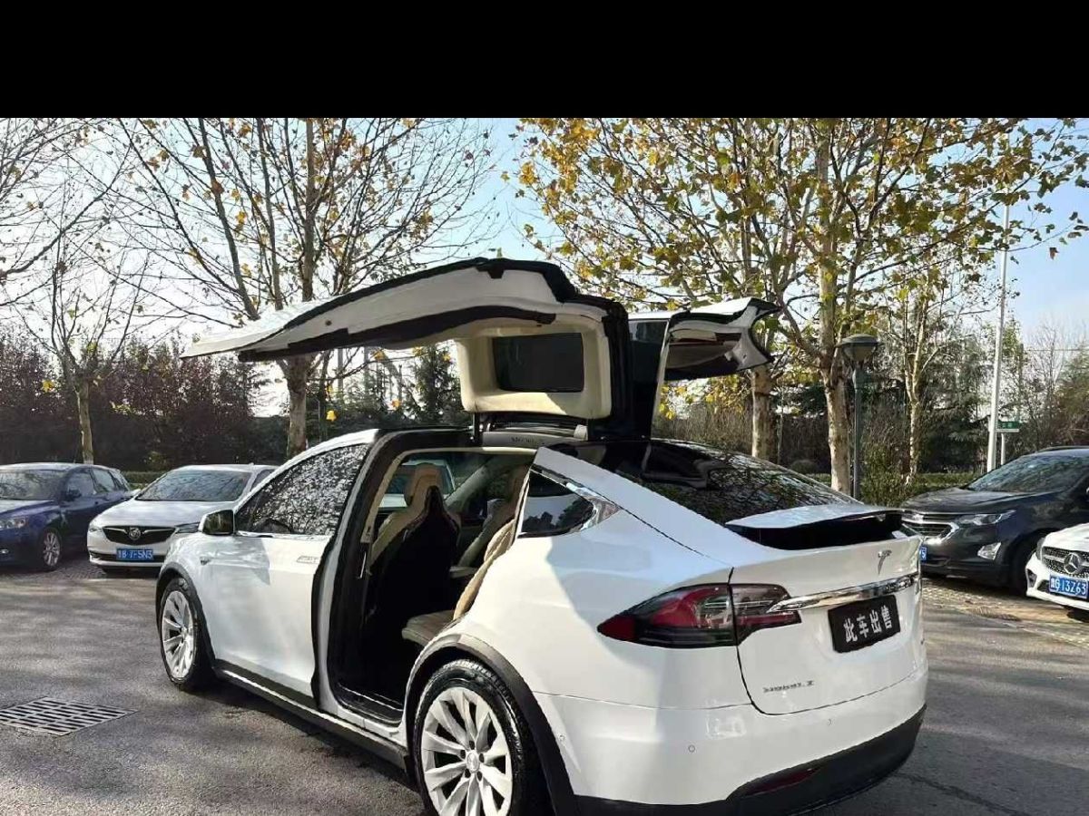 特斯拉 Model X  2020款 Performance 高性能版圖片